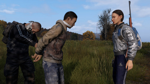 DayZ Standalone Server Hosting