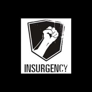 Insurgency 2