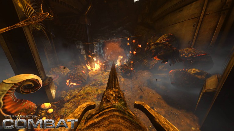 NS2 Combat Game Server Hosting