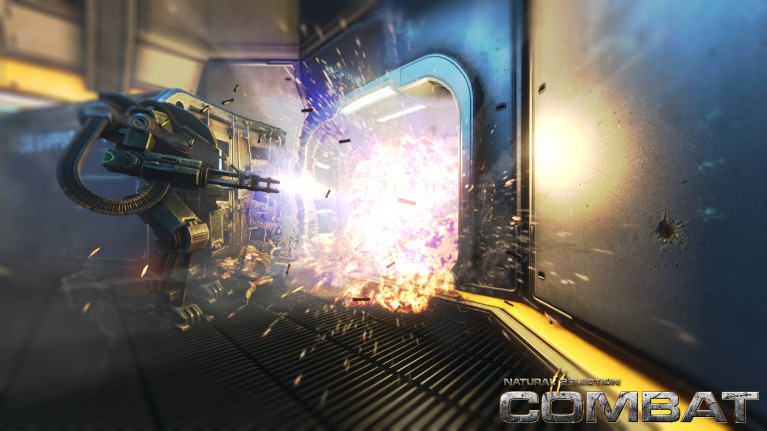 NS2 Combat Game Server Hosting